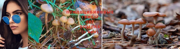 бутират Осинники