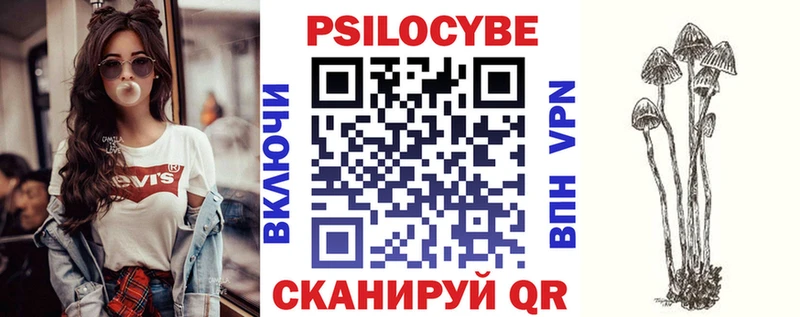 Псилоцибиновые грибы мицелий  где купить наркотик  Ржев 